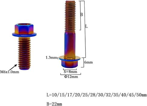 Rison Titanium ذات الحواف Hex Head Bolts M6x1.0x13mm محترقة الأزرق 6al4v الفضاء Ti Bolt Titanium Screw for Motorcycle Car Modification من 12 in Kuwait