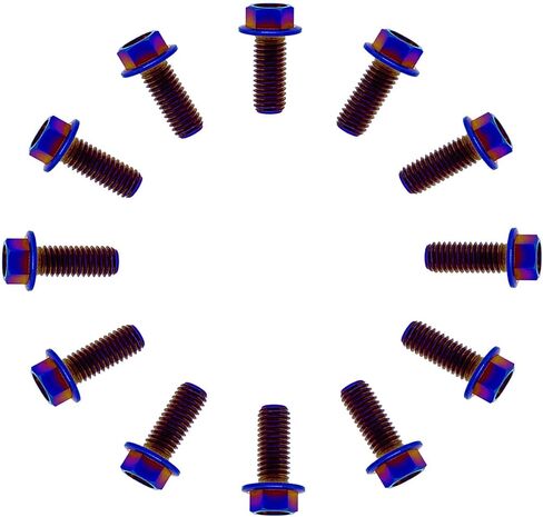 Rison Titanium ذات الحواف Hex Head Bolts M6x1.0x13mm محترقة الأزرق 6al4v الفضاء Ti Bolt Titanium Screw for Motorcycle Car Modification من 12 in Kuwait