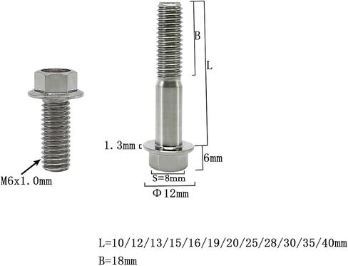 Rison Titanium ذات الحواف Hex Head Bolts M6x1.0x13mm محترقة الأزرق 6al4v الفضاء Ti Bolt Titanium Screw for Motorcycle Car Modification من 12 in Kuwait