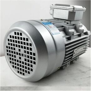 asynchronous motor Vertical motor YE2-63M2-4 Single phase asynchronous motor cast aluminum housing 220v 50hz 0.18kw 1320rpm in Saudi Arabia