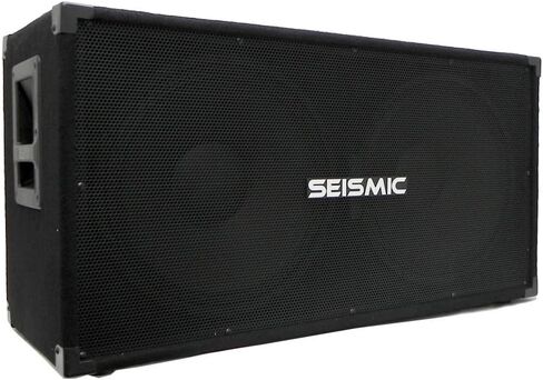 الصوت الزلزالي - 215 باس غيتار مكبر الصوت مجلس الوزراء 2x15 PA DJ 600 واط ثنائي in Saudi Arabia