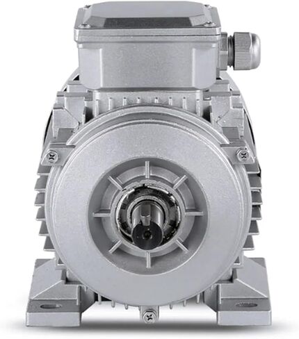 محرك غير متزامن YE2-63M2-4 مرحلة أحادية الطور غير المتزامن يلقي الألومنيوم 220V 50Hz 0.18KW 1320 دورة في الدقيقة الجسم الأزرق B3 أفقي in Saudi Arabia