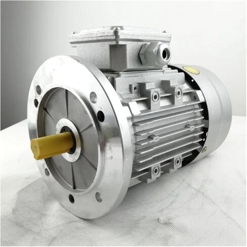 asynchronous motor Vertical motor YE2-63M2-4 Single phase asynchronous motor cast aluminum housing 220v 50hz 0.18kw 1320rpm in Saudi Arabia
