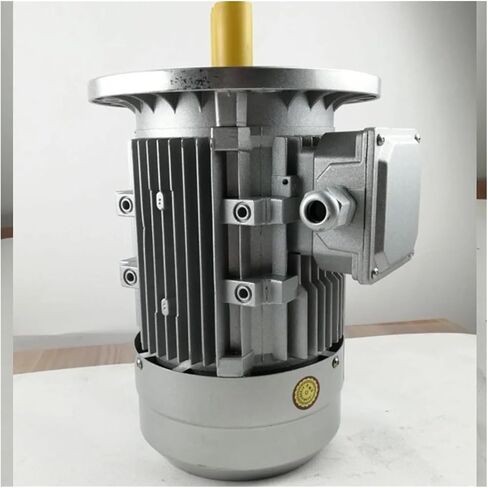 asynchronous motor Vertical motor YE2-63M2-4 Single phase asynchronous motor cast aluminum housing 220v 50hz 0.18kw 1320rpm in Saudi Arabia
