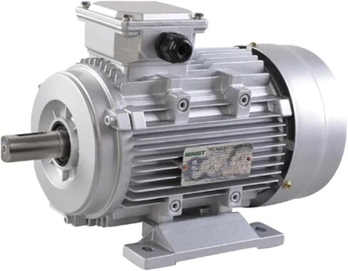 المحرك غير المتزامن الأفقي TC7122 محرك غير متزامن أحادي الطور يلقي الألومنيوم 220V 50Hz 0.55kw 2800pm b3 in Kuwait