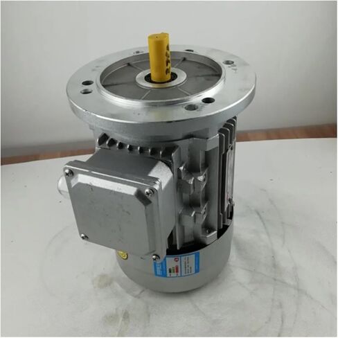 asynchronous motor YE2-80M1-4 Single-phase asynchronous motor Cast aluminum housing Vertical motor B5 220v 50hz 0.55kw 1390rpm in Saudi Arabia