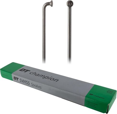 DT Swiss Champion 2.0 293mm Box/100 in Saudi Arabia