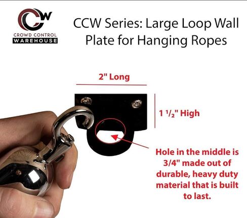Montour Line Large Loop Wall Plate for Hanging Ropes in Satin Brass, Post Queue Line Barrier for Movie Theaters, Grand Openings, Hotels in Saudi Arabia