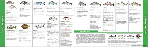 Florida Saltwater Fishing Guide. 100% Waterproof Fish Identification Book with 12 Pages, FWC Rules, Limits, and Seasonal Regulations, 70+ Fish and Shark Photos, Angler and Fisherman Chart in Saudi Arabia