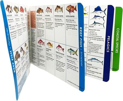 Florida Saltwater Fishing Guide. 100% Waterproof Fish Identification Book with 12 Pages, FWC Rules, Limits, and Seasonal Regulations, 70+ Fish and Shark Photos, Angler and Fisherman Chart in Saudi Arabia