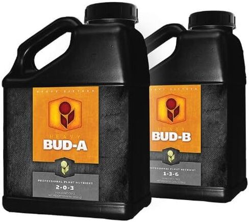 BUD A & B Set - 2.5 Gallon (10 Liter) in Saudi Arabia