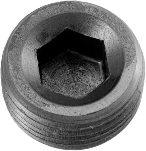 01 قابس أنابيب رأس NPT Hex ، أسود - حزمة 2 in Saudi Arabia