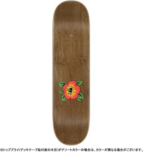 سانتا كروز 8.0 شاشة Hibiscus birch deck in Saudi Arabia