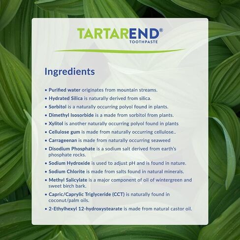 Toothpaste for Tartar Removal - Tartar Control Toothpaste to Remove Tartar and Plaque from Teeth at Home and Prevent Tartar and Plaque Buildup - 3.4 oz Tube, 1-Pack (Minty Wintergreen) in Saudi Arabia