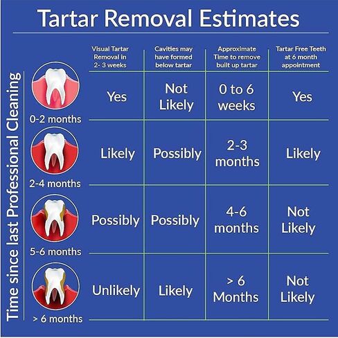 Toothpaste for Tartar Removal - Tartar Control Toothpaste to Remove Tartar and Plaque from Teeth at Home and Prevent Tartar and Plaque Buildup - 3.4 oz Tube, 1-Pack (Minty Wintergreen) in Saudi Arabia