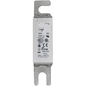 170M5717 170M5718 170M5720 170M5722 FUSE (170M5717) in Saudi Arabia