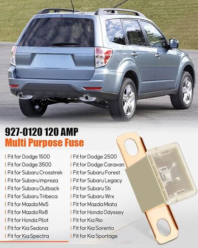 100 amp multi غرض الصمامات 927-0100 ، ملائمة لنماذج سوبارو/هوندا ، الأجزاء القابلة للاستبدال 82211FC100 ، 38218-SM4-003 ، FLD-100 ، PAL4100BP ، الأزرق in Kuwait
