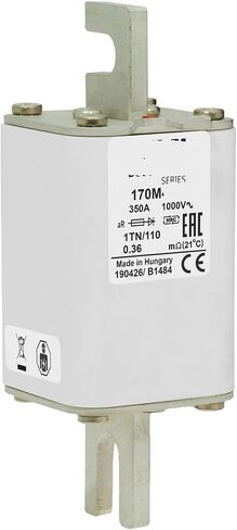 1000V FUSE 170M4982 FUSE 170M4982 in Saudi Arabia
