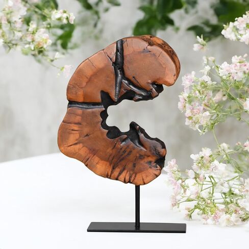 WELLAND Round Cedar Wood Sculpture 13.77" W x 13.77" D x 14" H, Wood Tabletop Sculpture, Irregular Shape décor for Living Room, Bedroom, Home Office in Kuwait