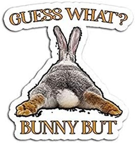 Guess What Bunny Butt Funny for Rabbit Lovers - Sticker Graphic - Auto, Wall, Laptop, Cell, Truck Sticker for Windows, Cars, Trucks in Saudi Arabia