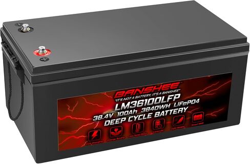 Banshee 36v 100ah Lithium Golf Cart Battery-دورة LifePo4 العميقة مع 100A BMS ، بطارية سريعة الشحن للزواج من Ezgo ، و Club Car ، و Yamaha Carts in Saudi Arabia