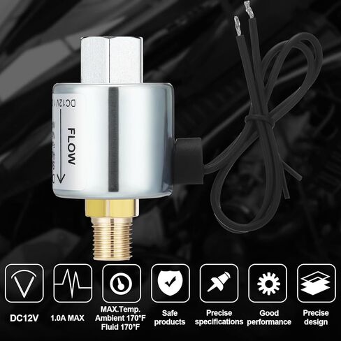 12 فولت ملف لولبي الصمام LPG البروبان 1/4 "NPT 12V 180 درجة القفل قبالة سائل البخار غاز الفولاذ المقاوم للصدأ محول للديزل غاز هواء الماء in Kuwait