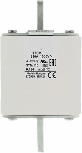 170M8635 170M8556 170M8555 170M8554 Low Voltage Fuse Current Protection(170M8556) in Saudi Arabia