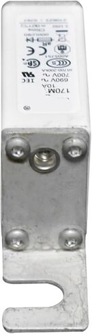 170m1558 170m1565d170m6812 170m5810 Fast Blow Fuse (170m4146) in Saudi Arabia