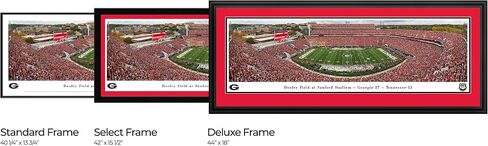 Georgia Bulldogs Football - ديكور الجدران البانورامي والملصقات من قبل Blakeway Panoramas in Kuwait