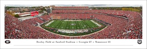 Georgia Bulldogs Football - ديكور الجدران البانورامي والملصقات من قبل Blakeway Panoramas in Kuwait
