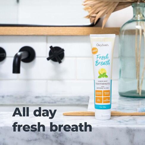 Oxyfresh Premium Lemon Mint Fresh Breath Toothpaste to Help Fight Bad Breath, Anti Plaque & Tartar Control - Low Abrasion Gel, SLS & Fluoride Free Toothpaste with Essential Oils, 5oz in Kuwait