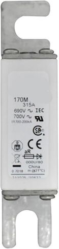 170M3117 170M3118 170M3119 170M3120 Current Protection Fuse(170M3120) in Saudi Arabia