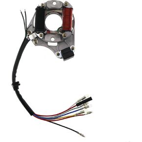 PRO BAT 2 Coil 5 Wires ATV Quad Stator Ignition Magneto Plate 50cc 70cc 90cc 110cc 125cc Chinese Taotao Go Kart