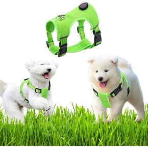 LED Dog Safety Vest | Improve Nighttime Visibility | Reflective Vest with Adjustable Buckle | Suitable for Small Pets - Green