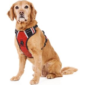 Padded Comfort Harness with No Pull Design for Small Dogs, Medium Dogs and Big Dogs (X-Large, Grape)