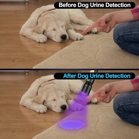 Banral Black Light UV Flashlight, 1200 High Lumens Magnetic Rechargeable Flashlight, Blacklight Tactical Flashlights 7 Modes LED Torch Light for Pets Urine and Stains, Bed Bugs and Scorpions in Kuwait