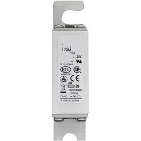 170m5988 170m5989 170m5990 170m6008 Fuse Standard Core (170m6008) in Kuwait