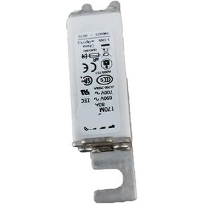 170M3194 170M3195 170M3196 170M3197 Low Voltage Fuse core Mark(170M3195) in Saudi Arabia