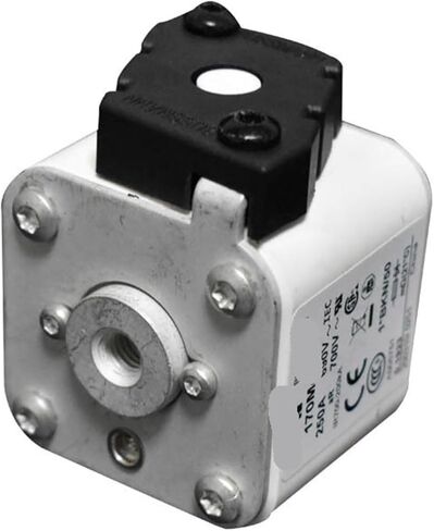 170m5988 170m5989 170m5990 170m6008 Fuse Standard Core (170m6008) in Kuwait