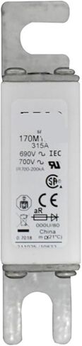 1 PCS 170M3614 170M3615 170M3616 170M3617 FUSE الحرارية (170M3615) in Kuwait