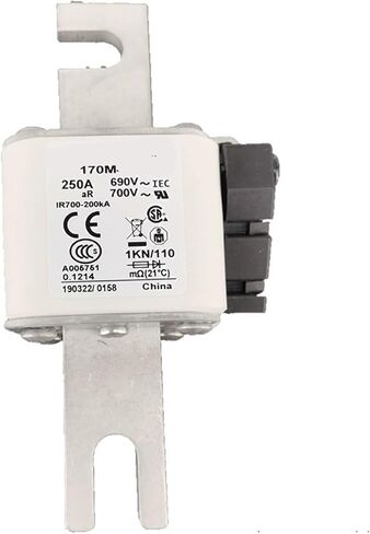 170M4219 170M4238 170M4239 170M4240 Fuse core Fuse(170M4239) in Saudi Arabia
