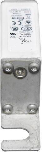 170M4317 170M4318 170M4358 170M4359 Fuse Standard(170M4358) in Saudi Arabia