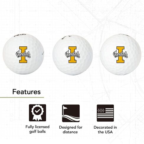 Desert Cactus University of Idaho Golf Balls 3 Pack Full Color Golf Ball (Design B) in Saudi Arabia