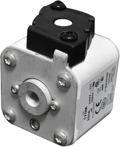170M5763 170M5764 170M5765 170M5766 Fuse Standard core(170M5767) in Saudi Arabia