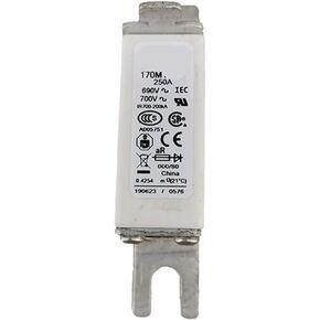 170M3247 170M3248 170M3258 170M3259 Ceramic Fuse Current Protection(170M3247) in Saudi Arabia