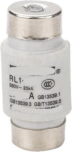 RL1 FUSE RL1-60 BODY 20A | RL160T20 in Saudi Arabia