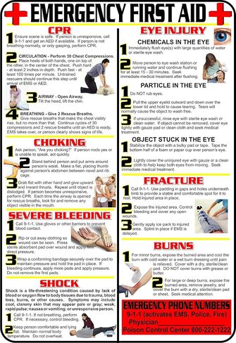 First Aid and Choking Poster, 11' x 17", Laminated, Includes CPR, Shock, Eye Injury, Fracture, Burns, Severe Bleeding & Choking in Saudi Arabia