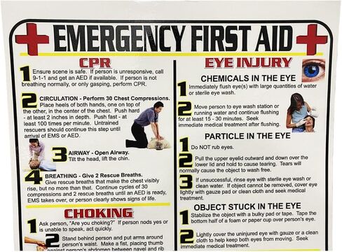 First Aid and Choking Poster, 11' x 17", Laminated, Includes CPR, Shock, Eye Injury, Fracture, Burns, Severe Bleeding & Choking in Saudi Arabia