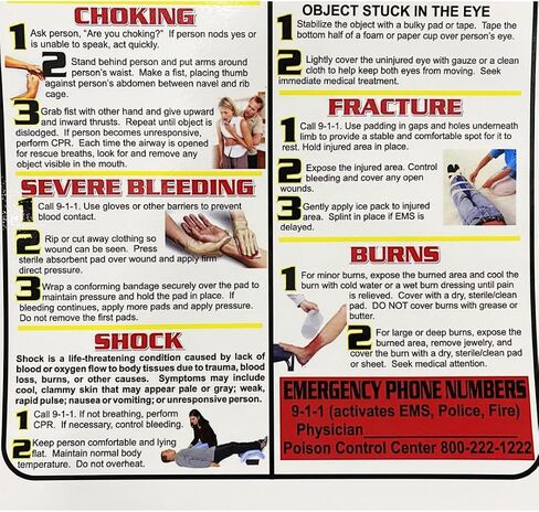 First Aid and Choking Poster, 11' x 17", Laminated, Includes CPR, Shock, Eye Injury, Fracture, Burns, Severe Bleeding & Choking in Saudi Arabia