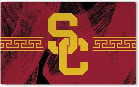 Northwest NCAA USC Trojans, Brushstroke, Washable Rug, 36 x 62 Inches in Saudi Arabia